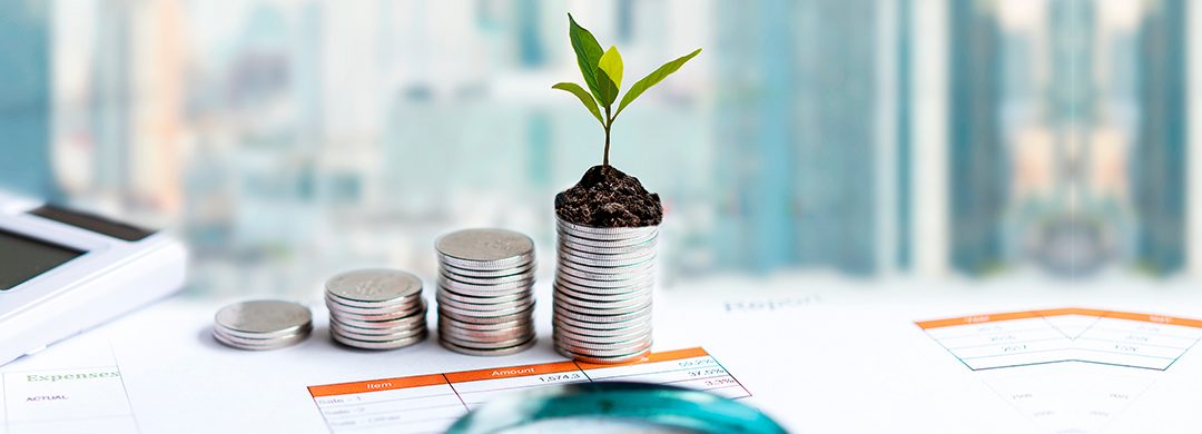 Investimento para iniciantes: dicas para quem quer começar