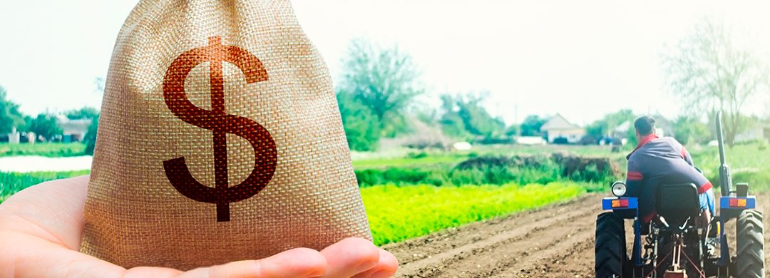 LCI e LCA: O que é, como investir e dicas