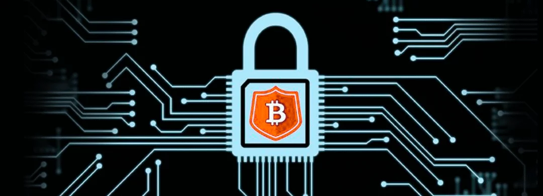 Como guardar criptomoedas com segurança?