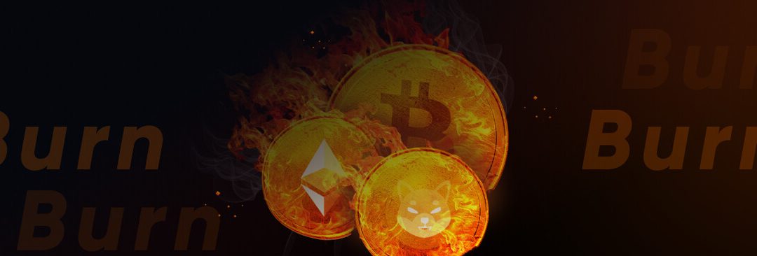 Queima de criptomoedas: o que é e para que serve?