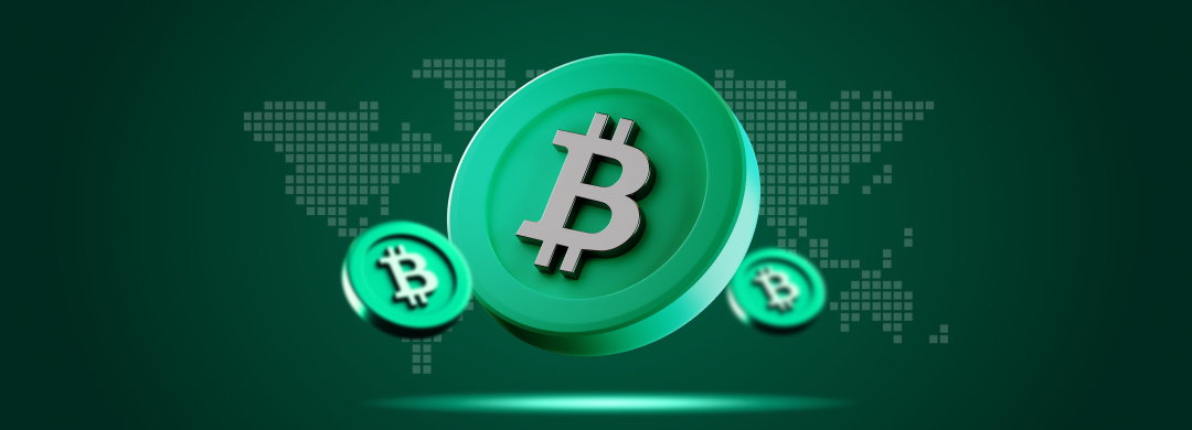 Bitcoin Cash (BCH): O Que é, Como Funciona e Sua Origem como Fork do Bitcoin