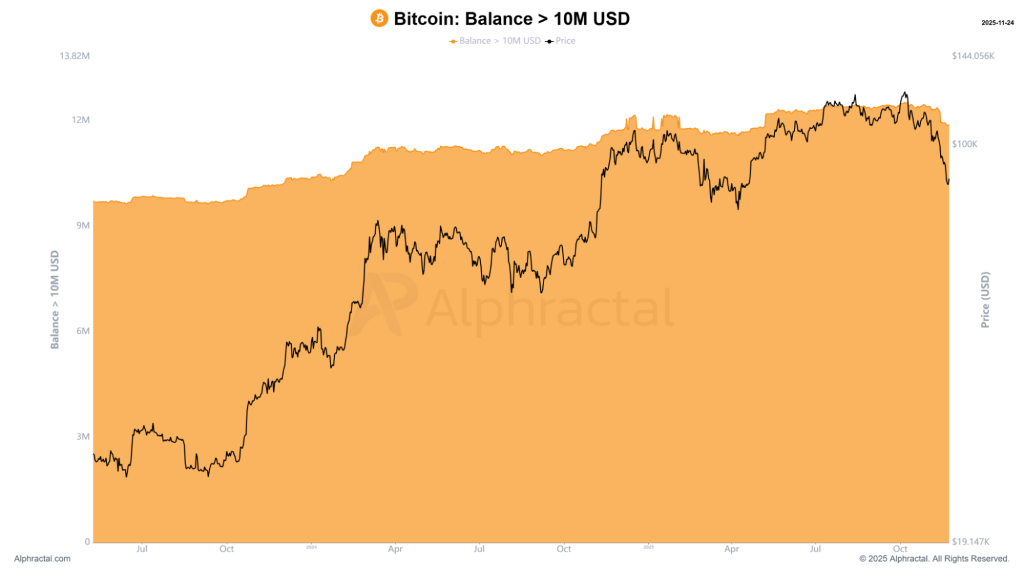 gráfico balance >10m | preço do bitcoin 